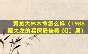 黄龙大林木命怎么样（1988属大龙的买房最佳楼 🐠 层）